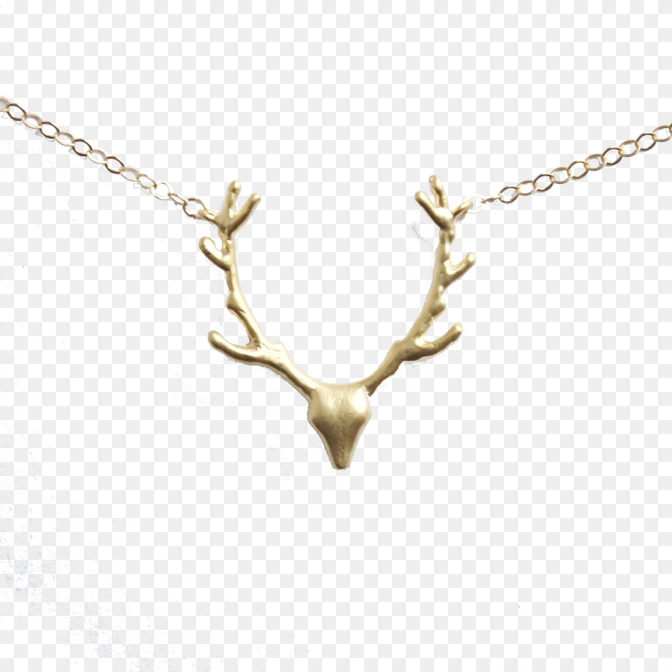 Fall Antler Necklace Necklace, Accessories, Jewelry, Pendant, Diamond Free Transparent Png