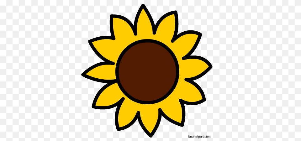 Fall Autumn Clip Artt, Flower, Plant, Sunflower, Animal Free Transparent Png