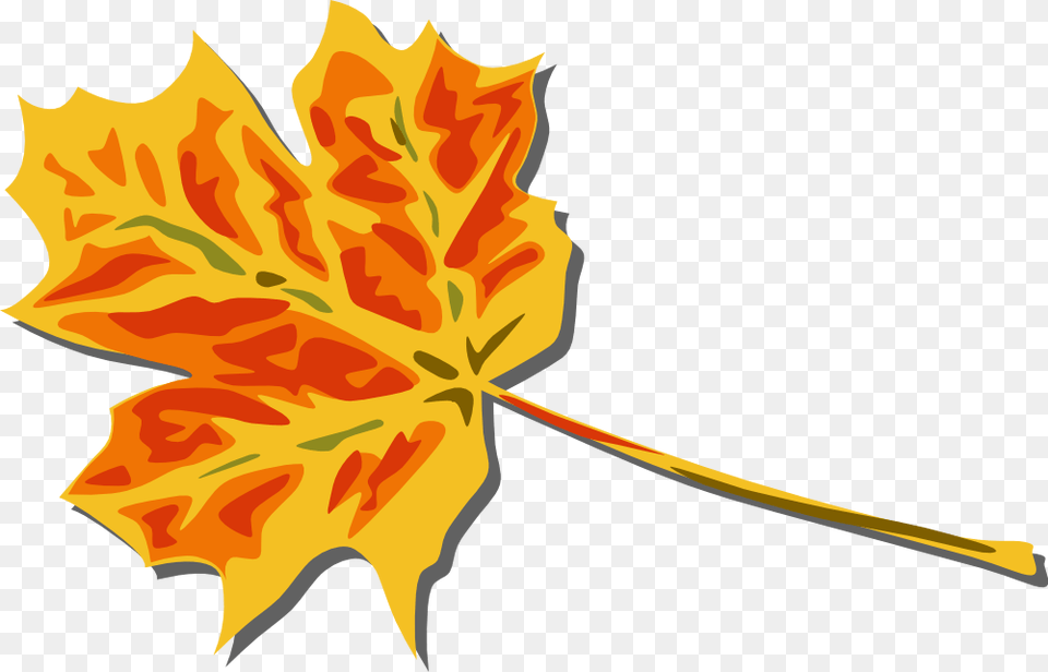 Fall Autumn Leaves Clipart Transparent Background Clip Art Bay Fall Leaves Clip Art, Leaf, Maple Leaf, Plant, Tree Free Png Download