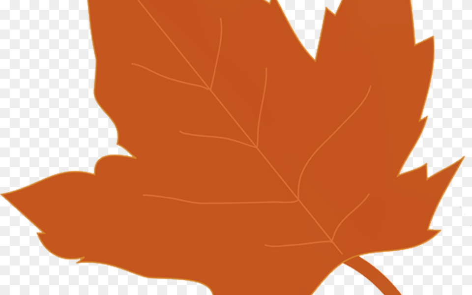 Fall Back Clip Art Thanksgiving Hot Trending Now, Leaf, Maple Leaf, Plant, Tree Png Image