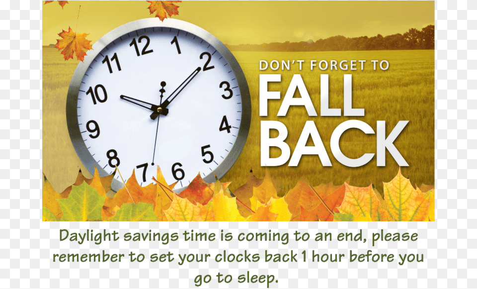 Fall Back Daylight Savings Time 2018, Leaf, Plant, Analog Clock, Clock Free Png Download