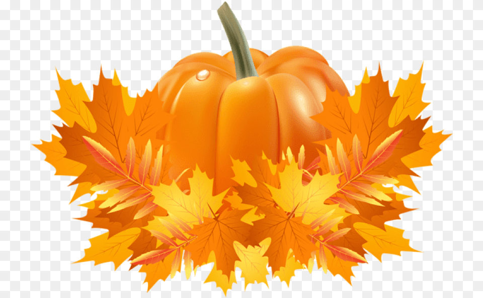 Fall Background Pumpkin Pie, Leaf, Plant, Food, Produce Free Png