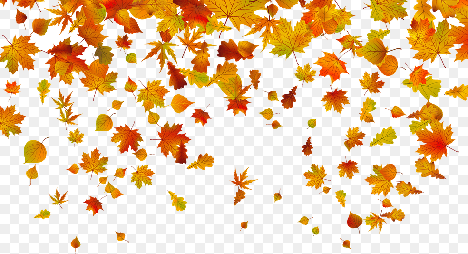 Fall Border Clipart With Background Fall Leaves Background, Leaf, Plant, Tree, Maple Free Png