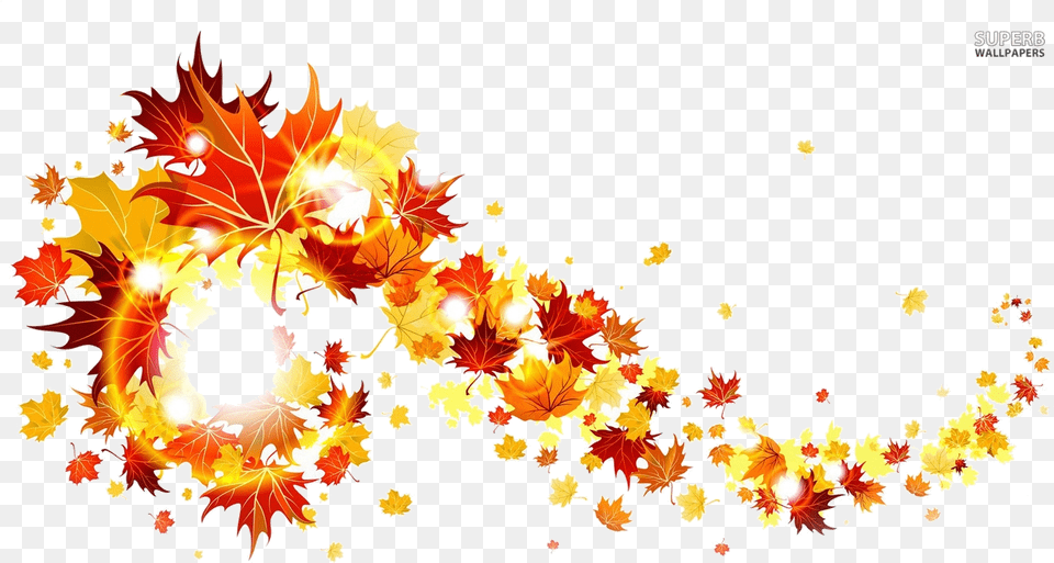 Fall Border Foliage Clipart Transparent Fall Leaves Transparent Background, Leaf, Plant, Art, Graphics Png