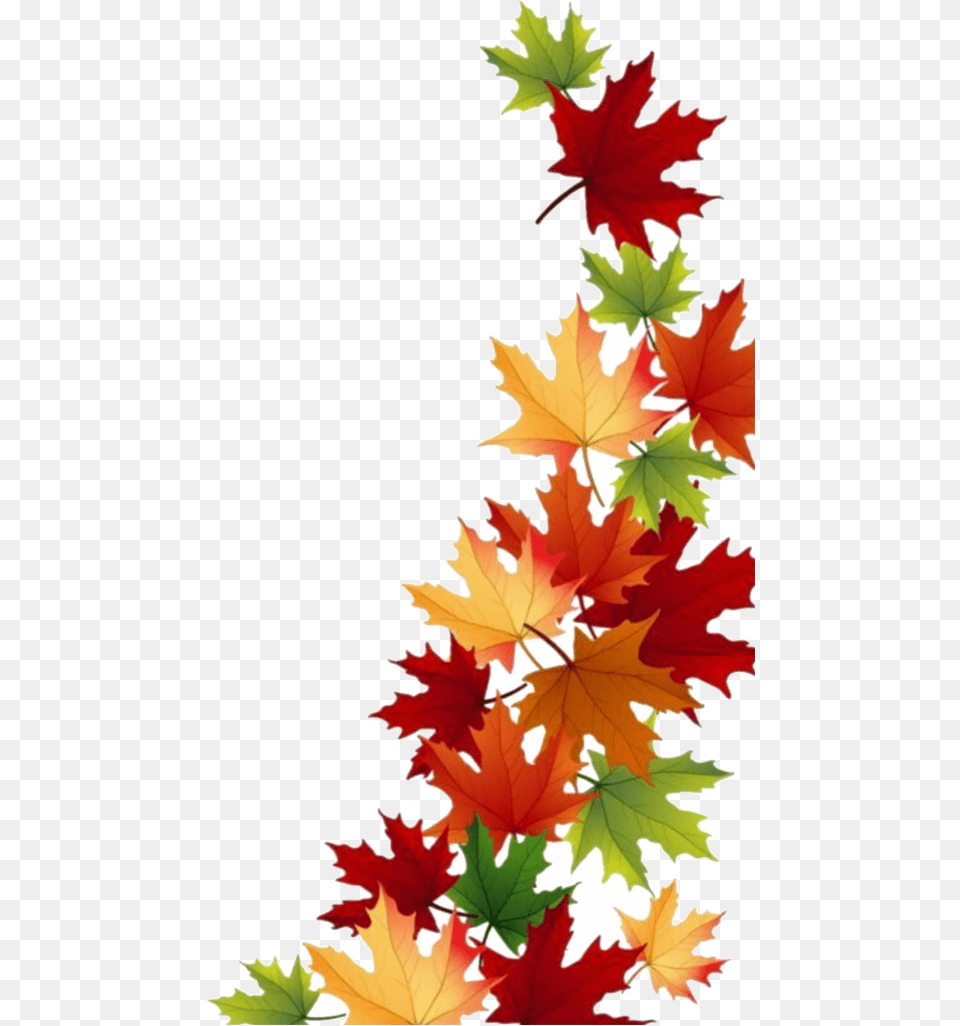 Fall Border Freetordit Summer Daun Clipart Edit Leaves Background Fall Leaves Clipart, Leaf, Maple, Plant, Tree Free Png Download