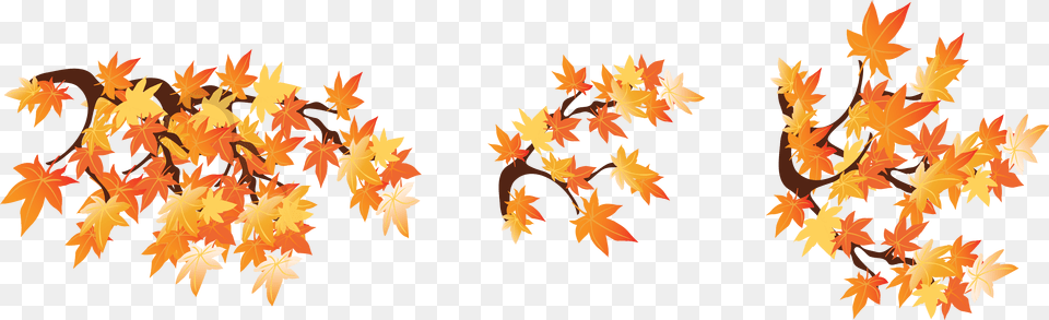 Fall Branches, Leaf, Plant, Tree, Maple Png Image