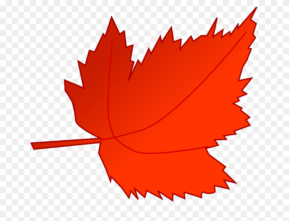 Fall Clip Art, Leaf, Plant, Tree, Maple Leaf Free Png