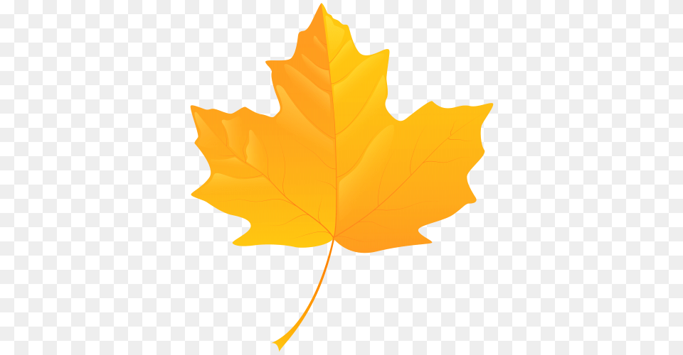 Fall Clip Art Art, Leaf, Maple Leaf, Plant, Tree Png Image
