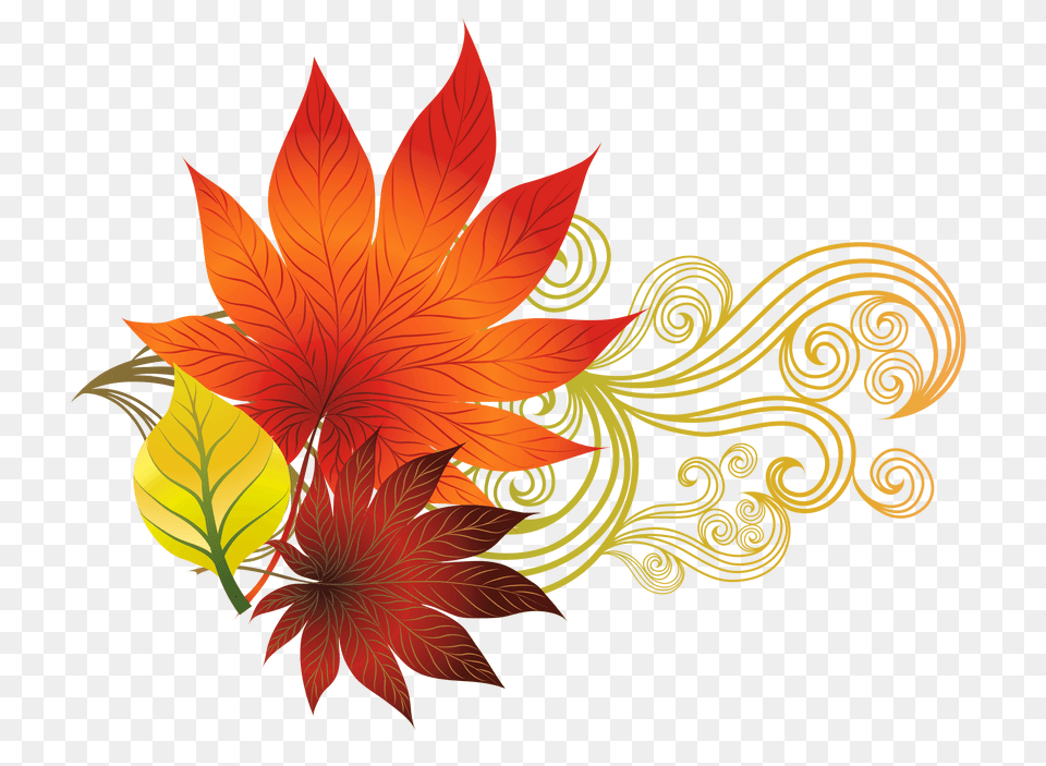 Fall Clip Art Images, Leaf, Plant, Tree, Flower Free Transparent Png