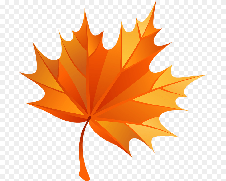 Fall Clip Art Maple Leaf, Maple Leaf, Plant, Tree Free Png Download