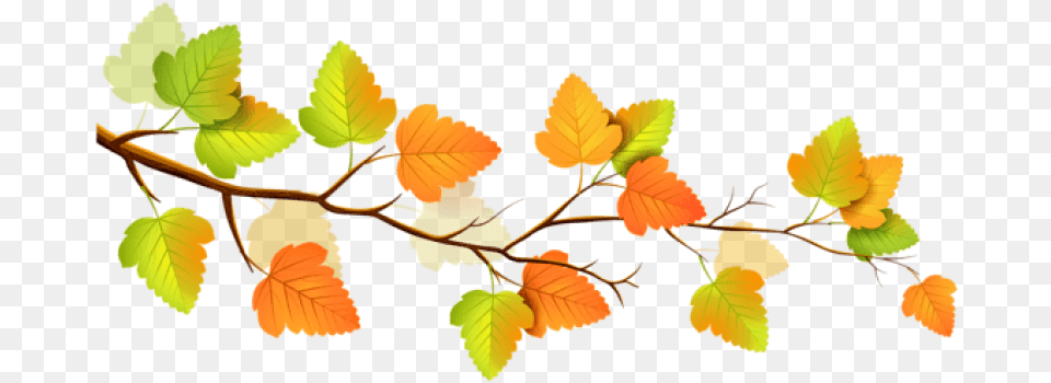 Fall Clipart Branch, Leaf, Plant, Tree Free Png Download