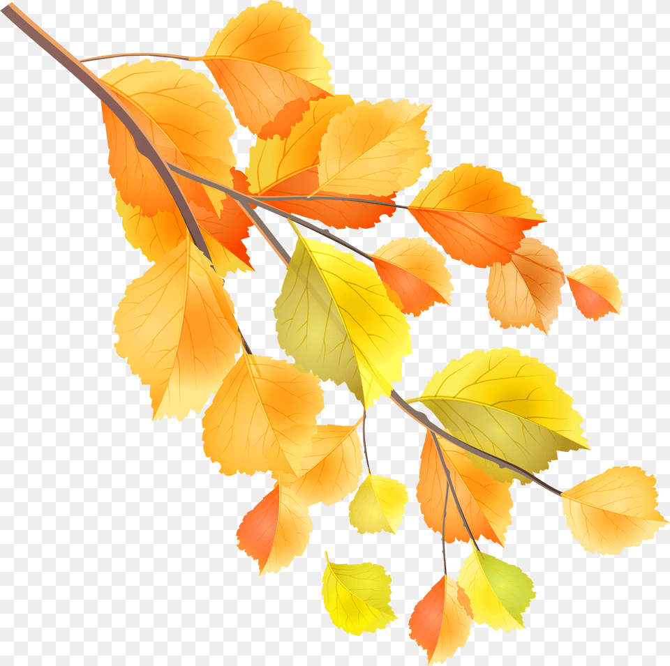 Fall Clipart Branch Transparent For Autumn Branch Free Png Download