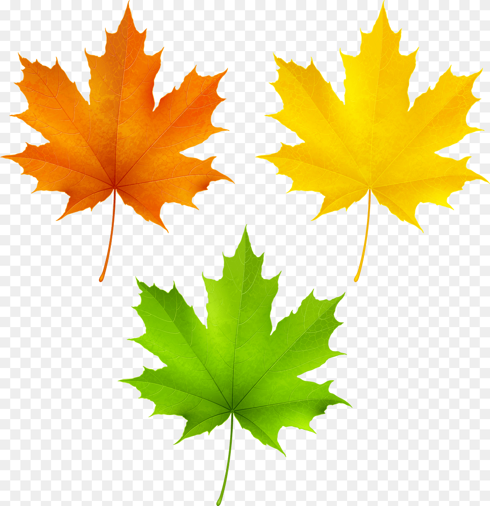 Fall Clipart Leaf Falling Leaves Free Png