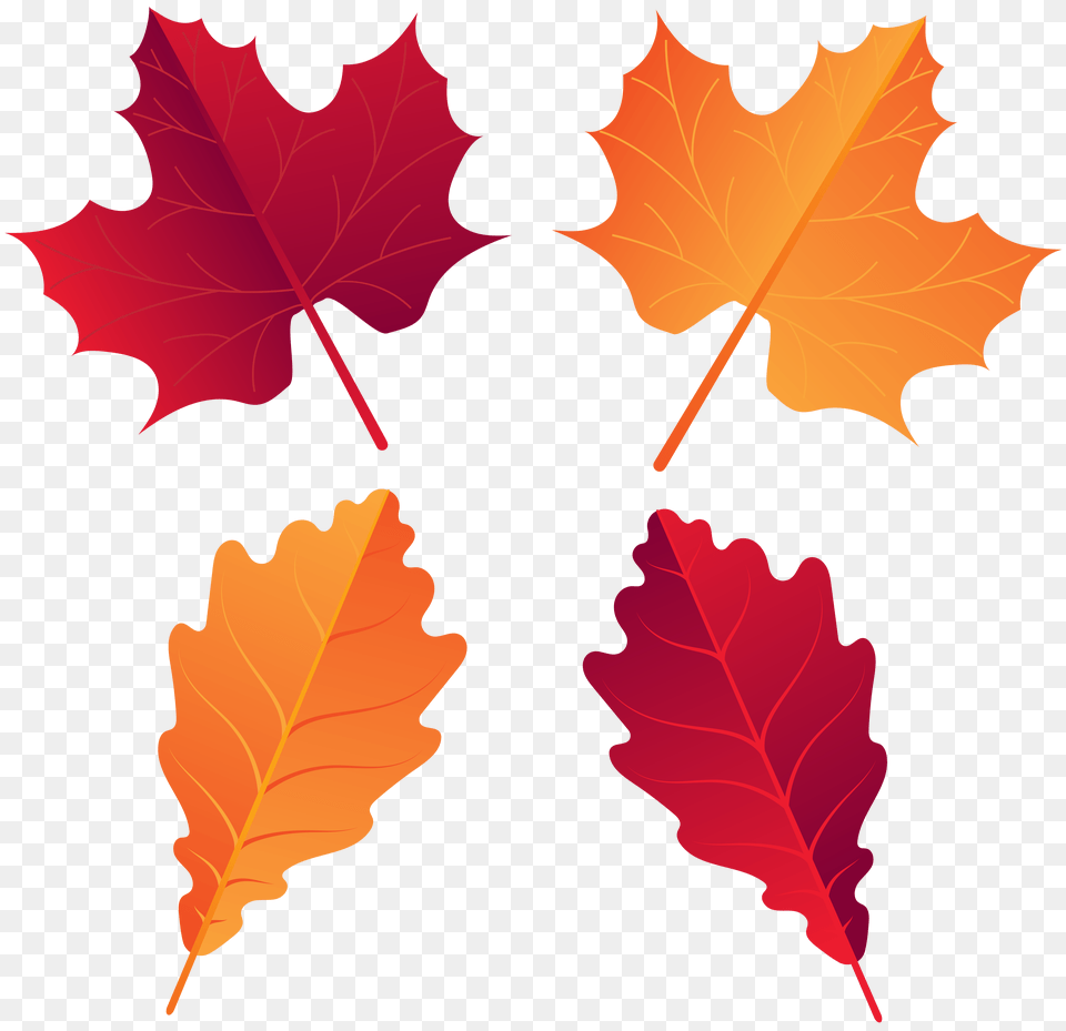 Fall Deco Leaves Clip Art, Leaf, Plant, Tree, Maple Leaf Png