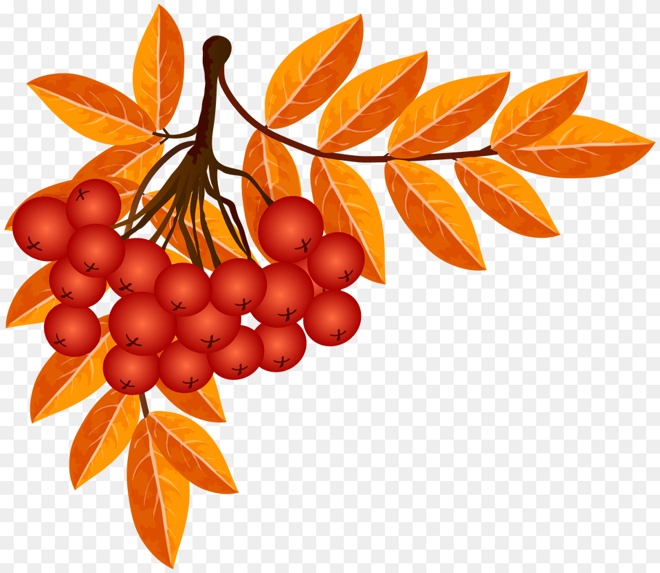 Fall Decoration Clip Art, Advertisement, Poster, Photography, Publication Png Image