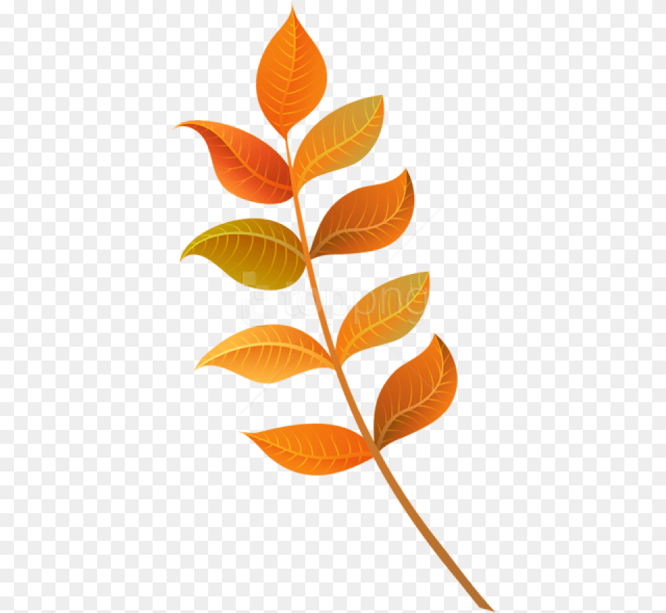 Fall Decorative Leaves Good Morning My Girlfriend, Leaf, Plant, Tree, Flower Png Image