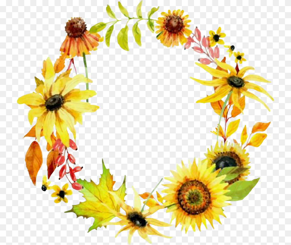 Fall Fallcolors Hellofall Sunflowers Fallflowers Sunflower Wreath Clipart Flower, Plant, Petal Free Png