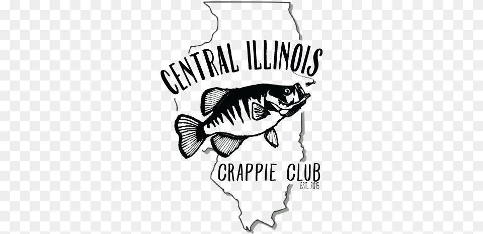 Fall Fishing Tournament Presented By The Central Illinois Bass, Animal, Fish, Sea Life Free Transparent Png