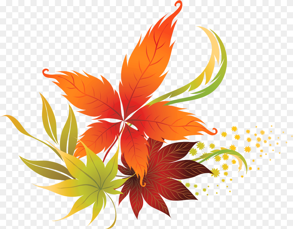 Fall Flower Transparent Transparent Background Fall Leaves Clipart, Art, Floral Design, Graphics, Leaf Png