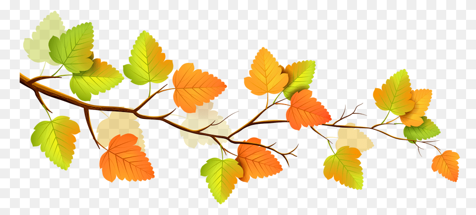 Fall Flowers Clipart, Leaf, Plant, Tree, Art Png Image