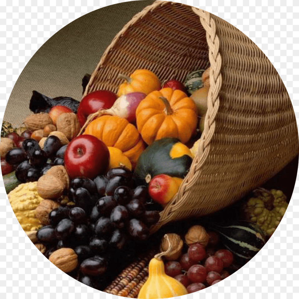 Fall Fruit And Vegetables Png Image