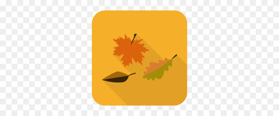 Fall Harvest Party Fulton County Calendar, Leaf, Plant, Tree, Maple Leaf Free Transparent Png