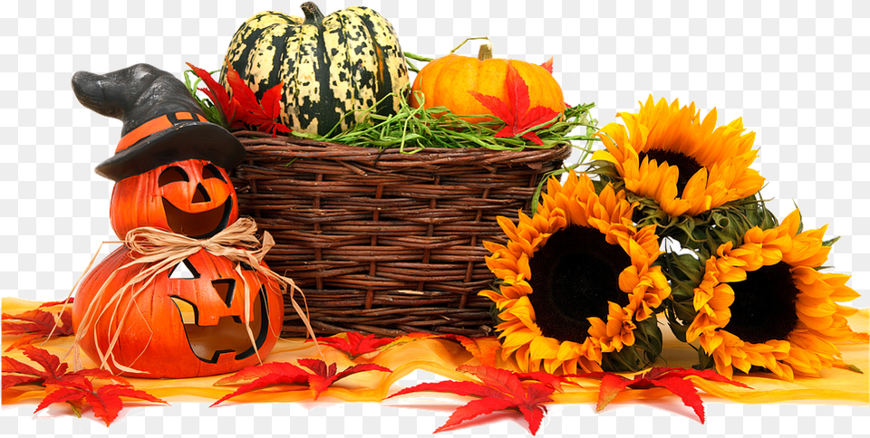 Fall Harvest Transparent Mart Harvest And Halloween, Plant, Vegetable, Flower, Pumpkin Free Png