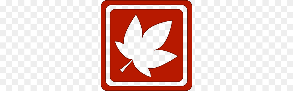 Fall Icon, Leaf, Plant, Symbol Png Image