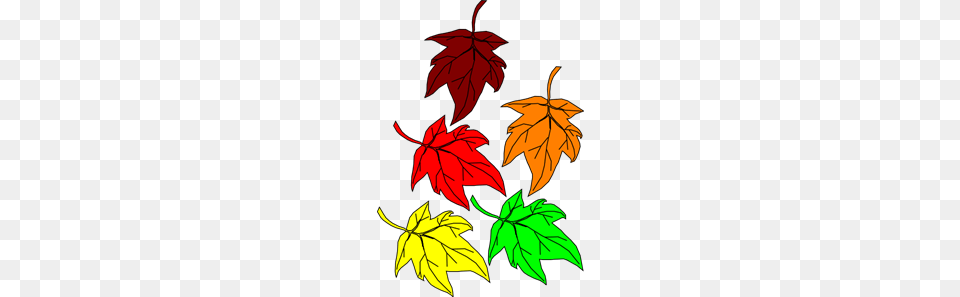 Fall Images Icon Cliparts, Leaf, Plant, Tree, Maple Leaf Free Transparent Png