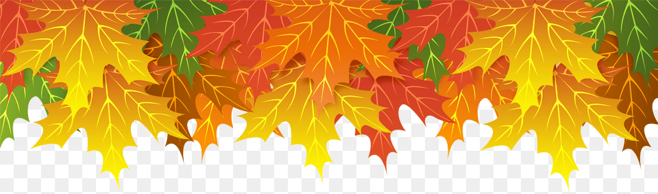 Fall Leaf Border Plant, Tree, Maple, Maple Leaf Free Png Download