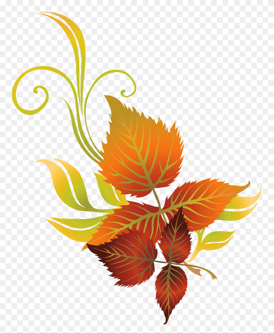 Fall Leaf Clip Art, Graphics, Pattern, Plant, Floral Design Free Png