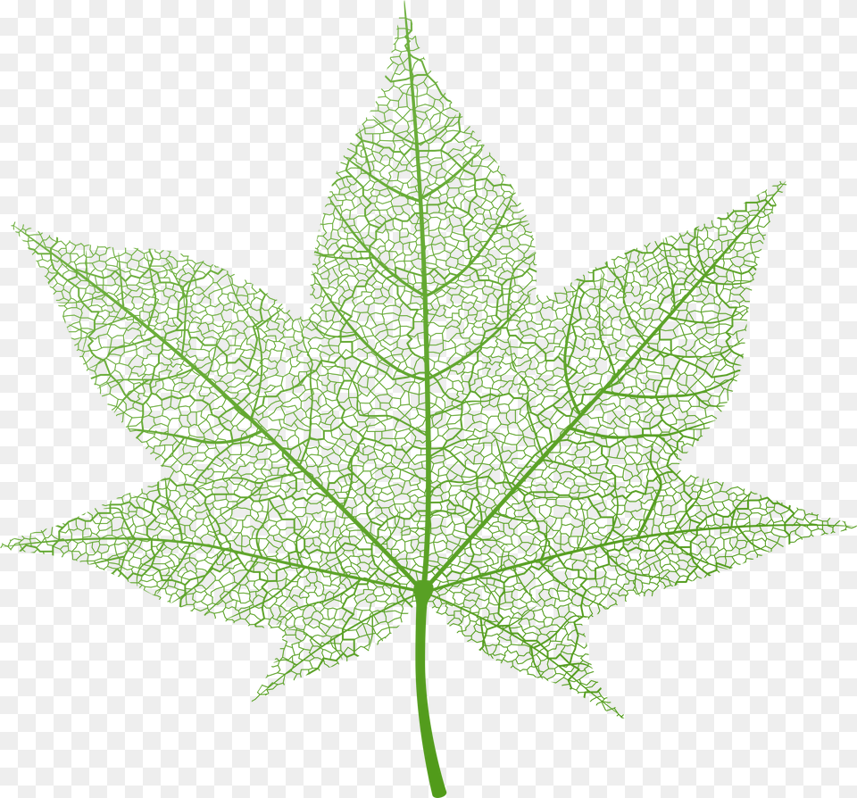 Fall Leaf Clip Art Transparent Green Autumn Leaf Portable Network Graphics, Plant, Tree, Maple, Maple Leaf Free Png