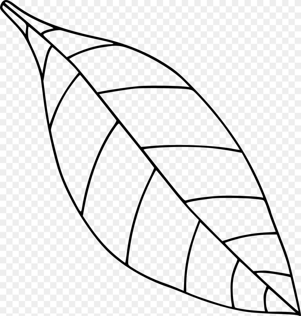 Fall Leaf Clipart Black And White, Plant Free Png