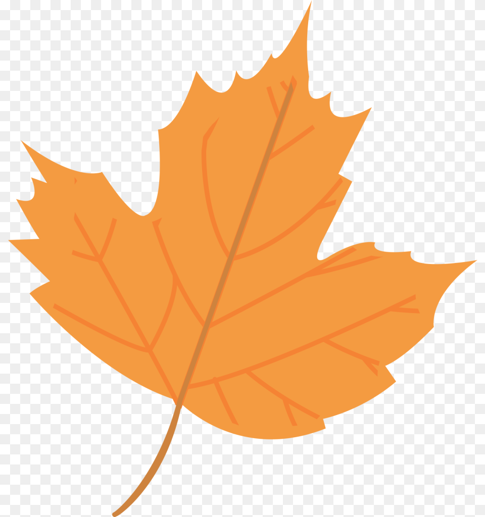 Fall Leaf Clipart Orange Fall Leaf Clipart, Maple Leaf, Plant, Tree, Person Png Image