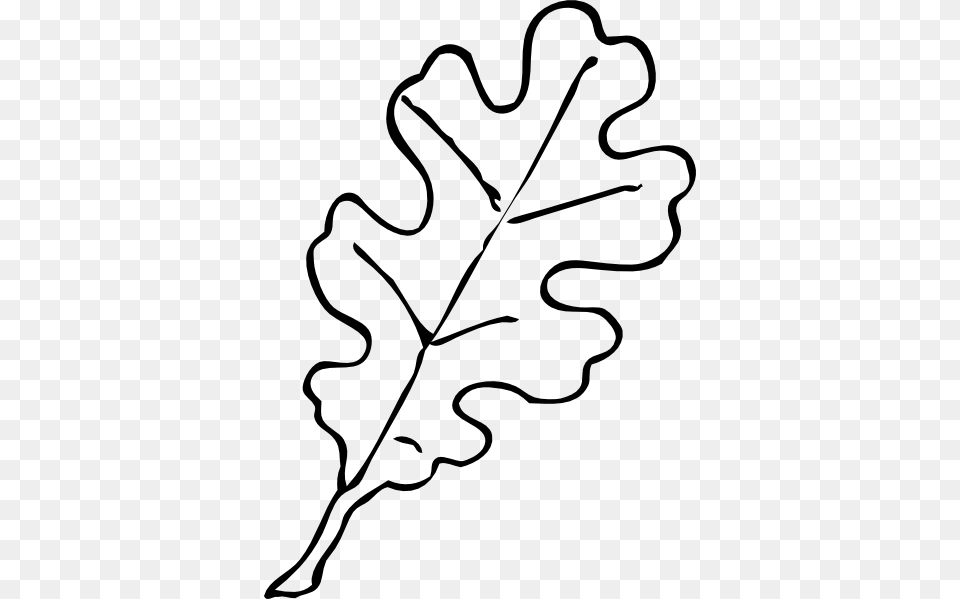 Fall Leaf Outline, Plant, Vegetable, Produce, Nut Free Transparent Png