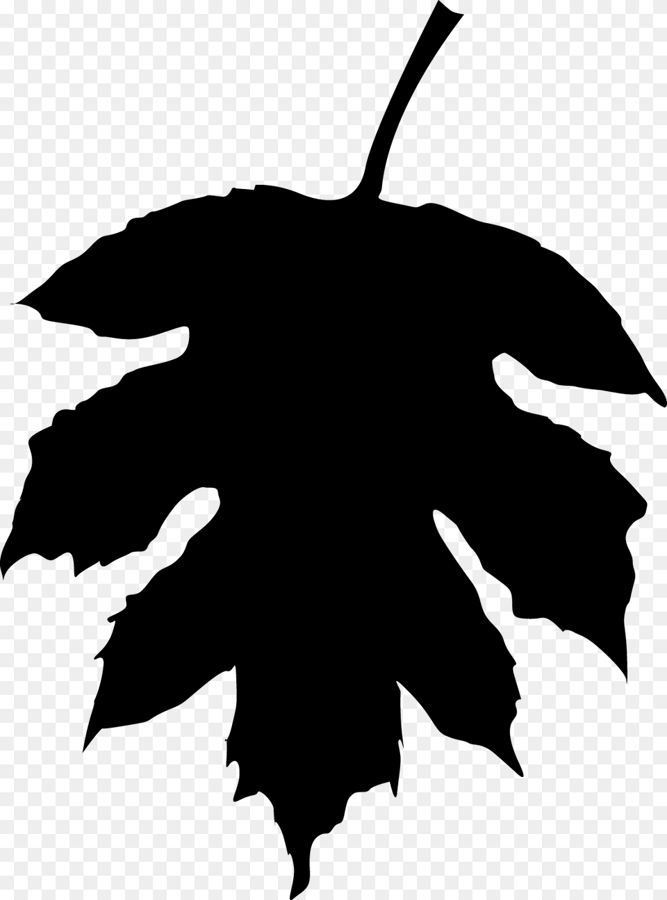 Fall Leaf Silhouette At Getdrawings Fall, Gray Png