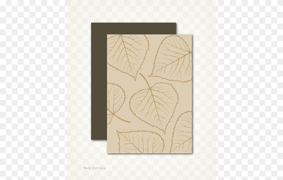 Fall Leaf Web Images4 Picture Frame, Home Decor, Rug, Plant, Page Free Png