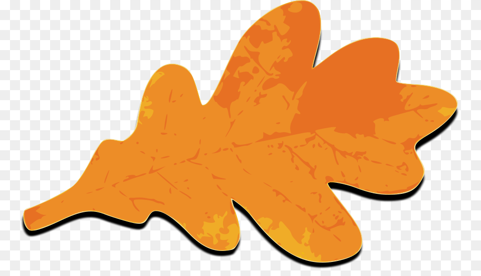 Fall Leafs Orange Clipart For Web, Leaf, Plant, Tree, Animal Png Image