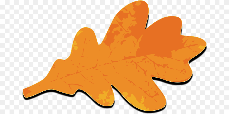 Fall Leafs Orange Images, Leaf, Plant, Tree, Animal Free Transparent Png