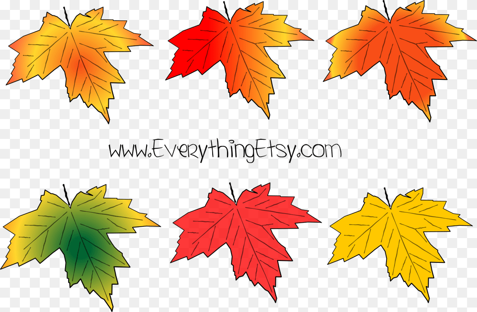 Fall Leaves A Little Early 5 Etsy Banners For Large Fall Leaves Printable, Leaf, Plant, Tree, Maple Free Transparent Png