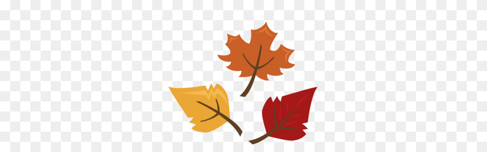 Fall Leaves Autumn For Scrapbooking Cute, Leaf, Maple Leaf, Plant, Tree Png