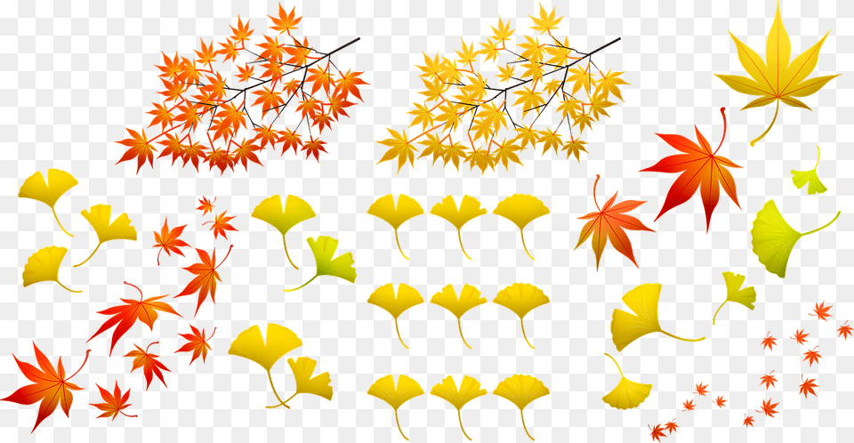 Fall Leaves Autumn Leaf Nature Colorful Fall Leaf Foglie Autunnali Cartone Animato, Plant, Tree Free Png Download