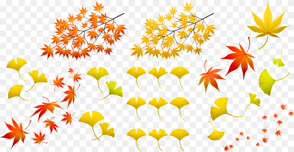 Fall Leaves Autumn Leaf Nature Image On Pixabay Autumn Leaf Color, Plant, Tree Free Transparent Png