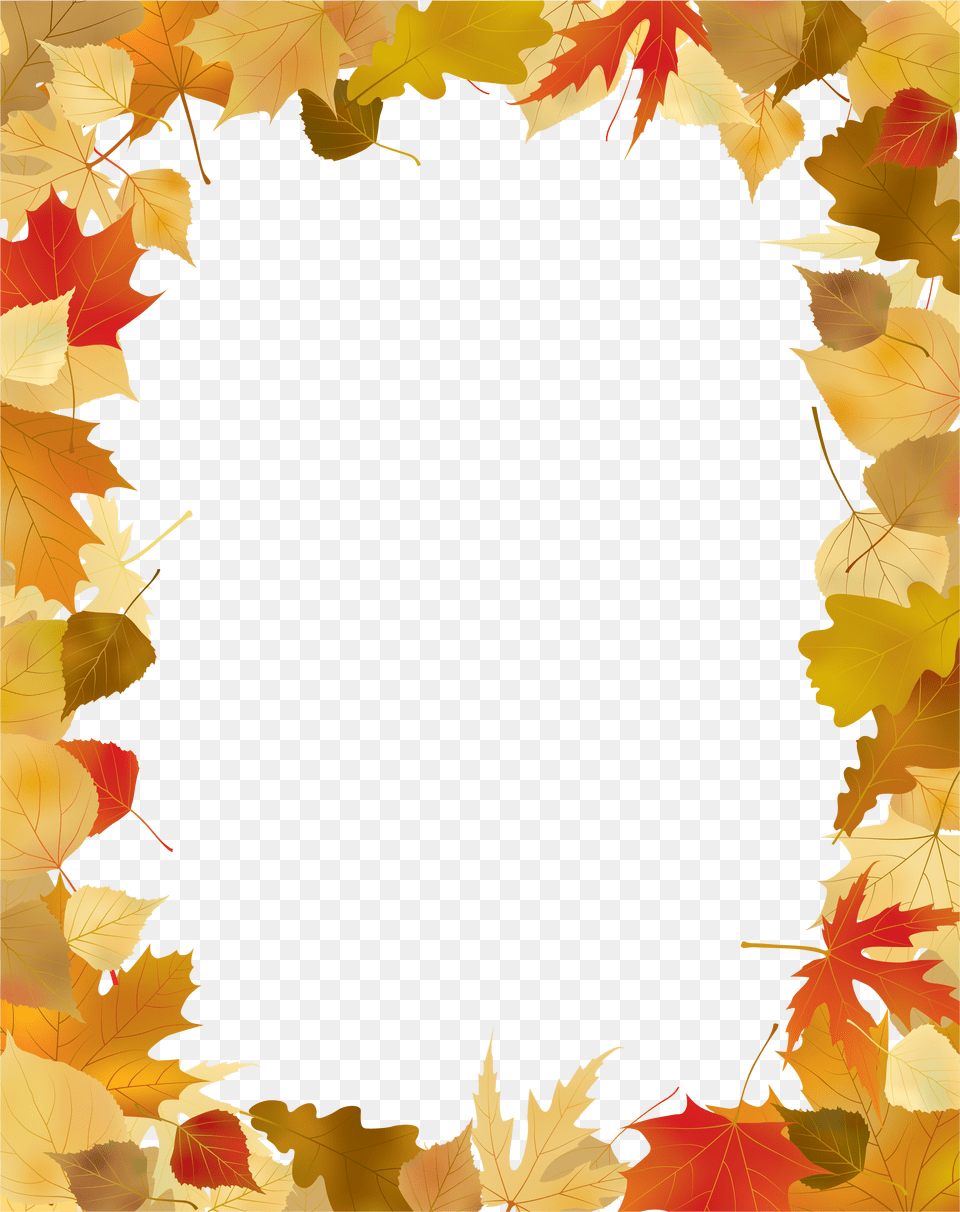 Fall Leaves Background Tree, Leaf, Plant, Maple Free Png