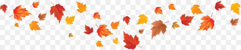 Fall Leaves Banner Clip Art, Leaf, Plant, Tree, Maple Leaf Free Png