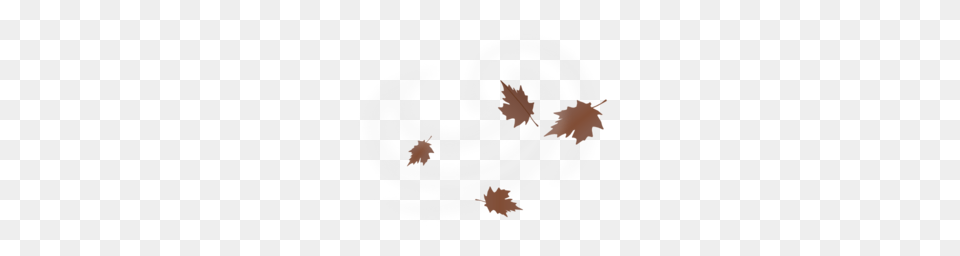 Fall Leaves Blowing Clipart Clipart, Leaf, Plant, Text Free Transparent Png