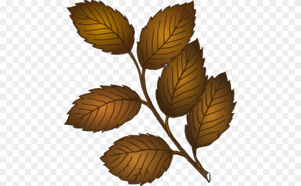 Fall Leaves Branch Svg Clip Arts Brown Leaves Clipart, Leaf, Plant, Herbal, Herbs Png