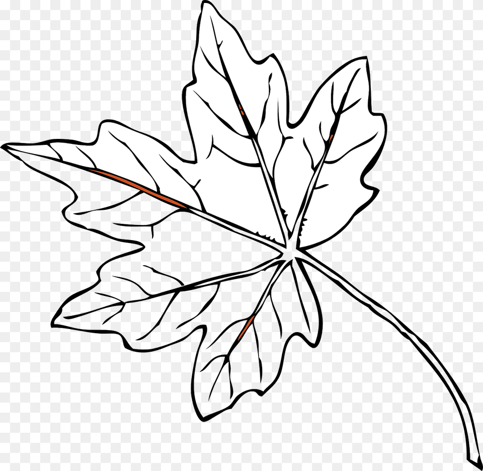 Fall Leaves Clip Art, Leaf, Plant, Maple Leaf, Tree Png