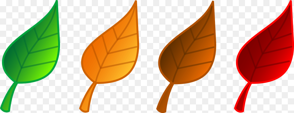 Fall Leaves Clip Art, Leaf, Plant, Graphics Png Image