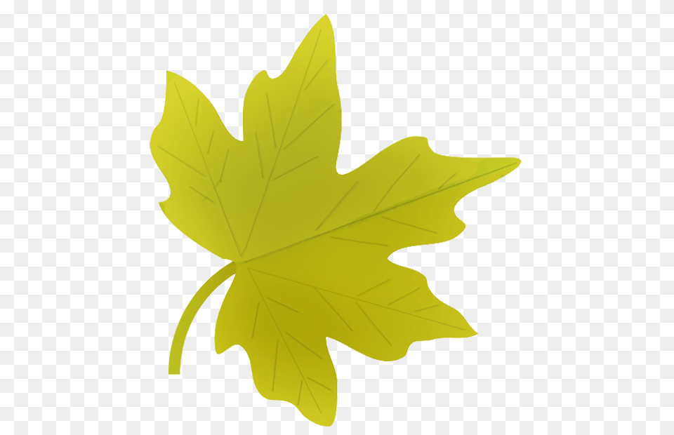 Fall Leaves Clip Art, Leaf, Maple Leaf, Plant, Tree Png Image